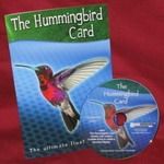 Hummingbird Card